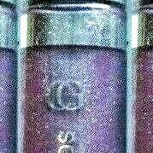 COVERGIRL LIP GLOSS LIPCOLOR # Q335 Vip Violet  / Rare